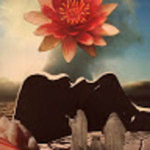 Meet your Posher, Kathia